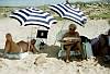 on_the_beach.JPG 800x544  [146130 bytes]